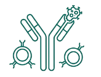 Immunology Shield